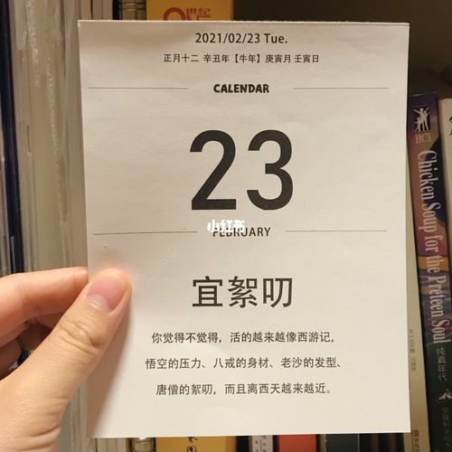 每个月的壬寅日