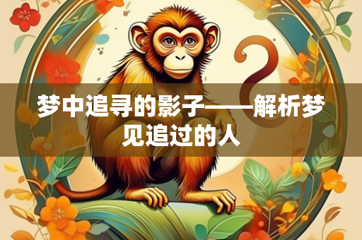 梦中追寻的影子——解析梦见追过的人