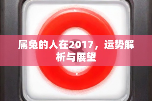 属兔的人在2017，运势解析与展望