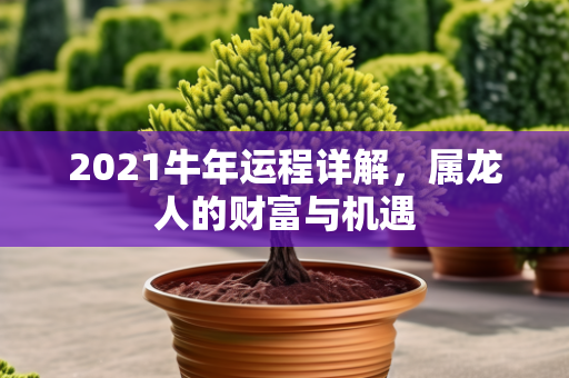 2021牛年运程详解，属龙人的财富与机遇