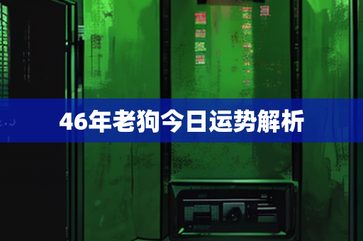 46年老狗今日运势解析