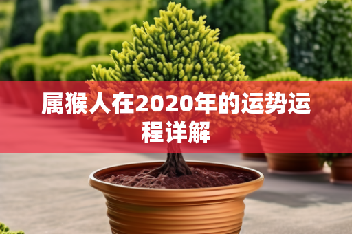 属猴人在2020年的运势运程详解