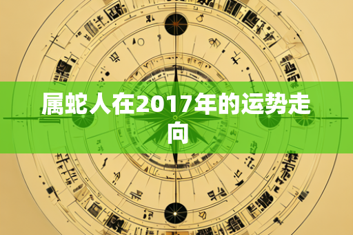 属蛇人在2017年的运势走向