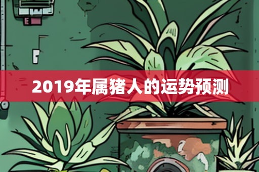 2019年属猪人的运势预测