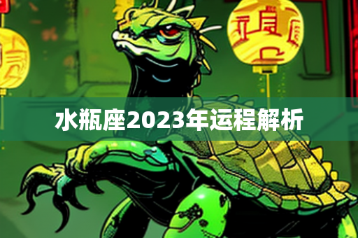 水瓶座2023年运程解析