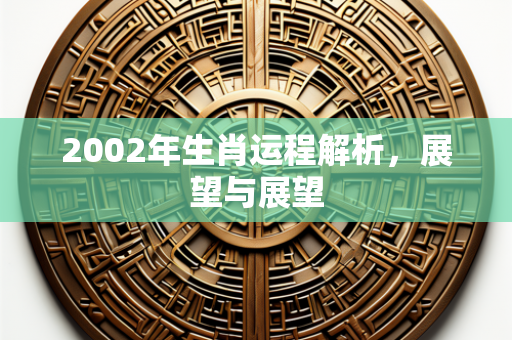 2002年生肖运程解析，展望与展望