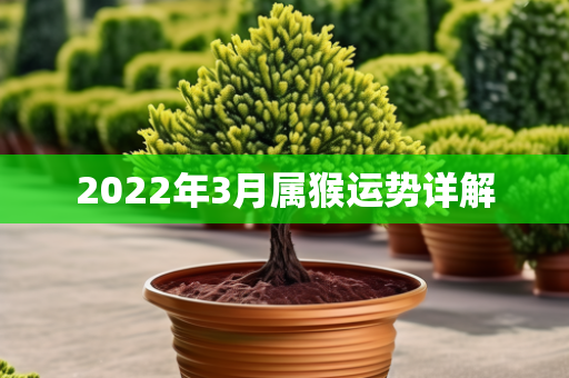 2022年3月运势详解