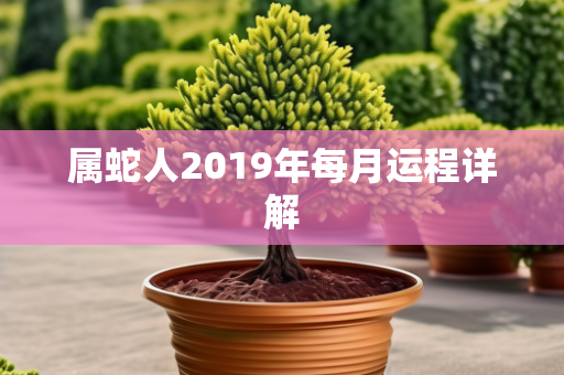 属蛇人2019年每月运程详解