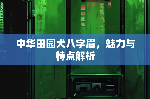 中华田园犬八字眉，魅力与特点解析