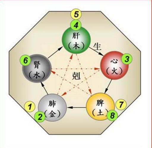 五行互生的特性