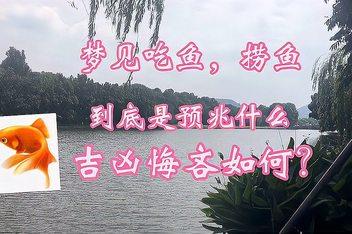 作品名称：已婚女人梦见抓很多鱼