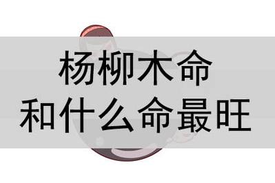 大林木为何惧怕剑风金？