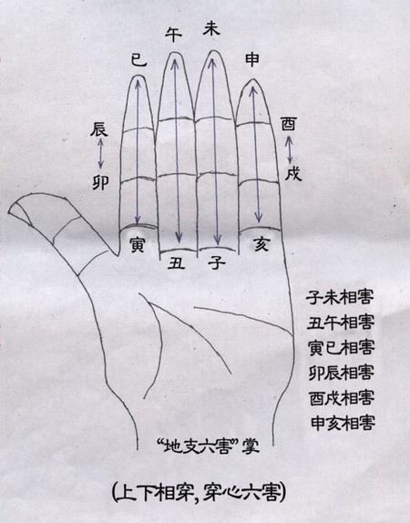 八字地支详解