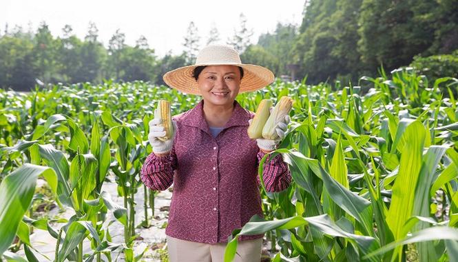 作品名：女人梦见在农田里行走